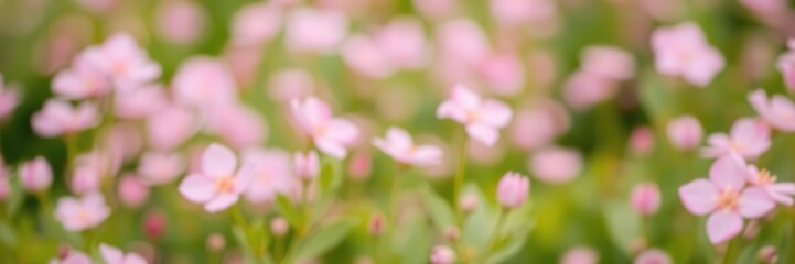 Blurred field of flowers with a clear focus on the pink blossoms, serene atmosphere, flower fields, blooming wildflowers