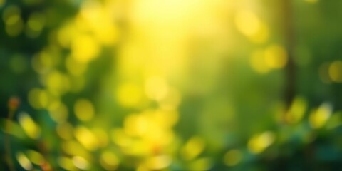 Obraz premium Nature-inspired background with soft focus blurs of green and yellow hues, landscape, outdoor scenes