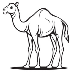 Camel line art vector on a white background