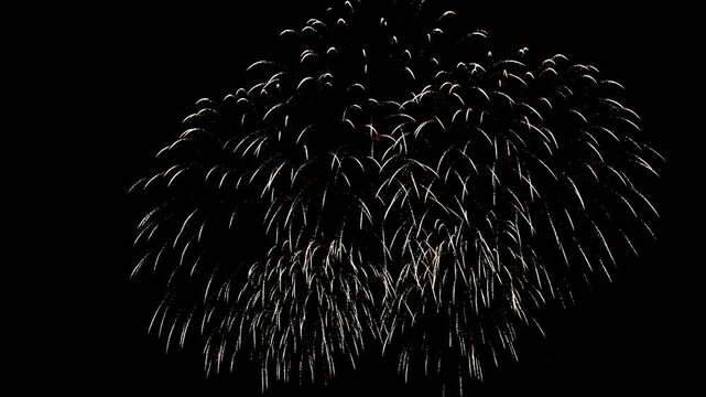 Spectacular realtime abstract fireworks display for New Year 2025 at the Independence Day celebration and Chinese New Year festivities