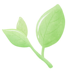 green leaf isolated on white