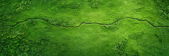 Lush green grassy plains with winding trails and patches of foliage create serene landscape. vibrant greenery invites exploration and connection with nature