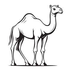 Camel line art vector on a white background