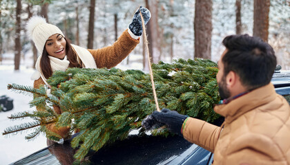  A joyous man and woman with mittens are tying an enormous 6-foot tree Christmas tree to the roof of their car.