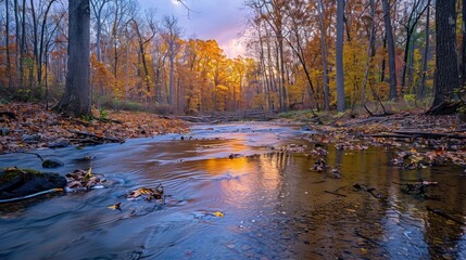 Obraz premium A tranquil creek flows through a forest, with colorful autumn leaves reflecting in the water. The sun sets behind the trees, casting a warm glow.