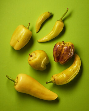 Green bell peppers on branch on bright green