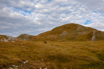 Obraz premium Zelengora Mountains in Bosnia and Herzegovina