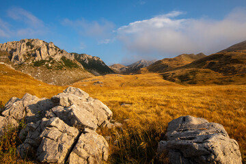 Aerial View of Zelengora Mountains in Bosnia