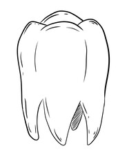 tooth digital drawing illustration isolated