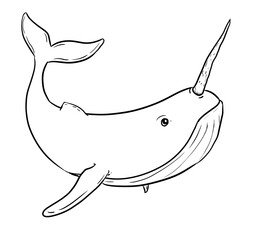 unicorn whale digital drawing illustration isolated © mbahran
