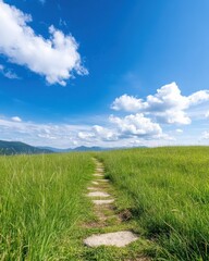 Scenic Meadow Footpath Surrounded by Tall Grass Gently Swaying in the Breeze Against a Backdrop of Blue Skies and Fluffy White Clouds