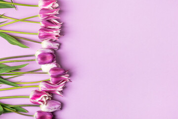 Spring composition on purple background of flowers tulips with space for text. Happy Mother's Day greeting card, happy Valentine's Day, March 8, happy birthday © Katya Slavashevich