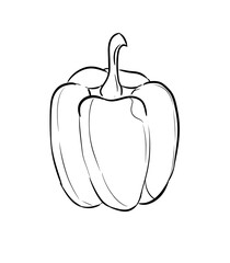 bell pepper digital drawing illustration isolated