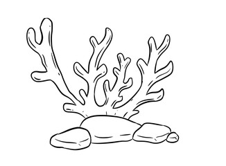 Obraz premium coral digital drawing illustration isolated