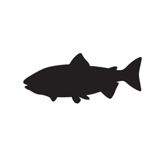 salmon silhouette., Vector illustration. salmon silhouette in line art style. Fish vector by hand drawing. Fish tattoo on white background .Black and white fish vector on white background