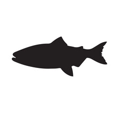 salmon silhouette., Vector illustration. salmon silhouette in line art style. Fish vector by hand drawing. Fish tattoo on white background .Black and white fish vector on white background