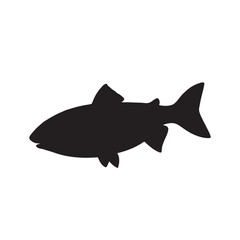 salmon silhouette., Vector illustration. salmon silhouette in line art style. Fish vector by hand drawing. Fish tattoo on white background .Black and white fish vector on white background