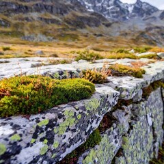 A close-up aerial shot of a mountain ledge with small plants growing in the crevices.