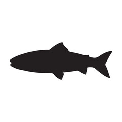 salmon silhouette., Vector illustration. salmon silhouette in line art style. Fish vector by hand drawing. Fish tattoo on white background .Black and white fish vector on white background