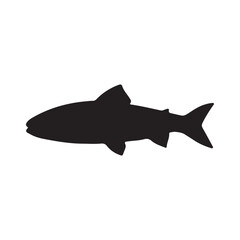 salmon silhouette., Vector illustration. salmon silhouette in line art style. Fish vector by hand drawing. Fish tattoo on white background .Black and white fish vector on white background
