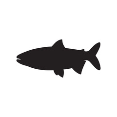 salmon silhouette., Vector illustration. salmon silhouette in line art style. Fish vector by hand drawing. Fish tattoo on white background .Black and white fish vector on white background