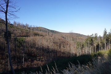 Góry Sowie, Polska © Strumyk