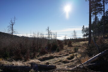 Góry Sowie, Polska © Strumyk