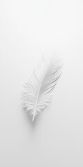 Obraz premium A white feather is on a white background. The feather is very thin and has a lot of detail