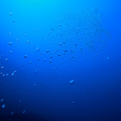 Scattered bubbles with the blue of the ocean in the background