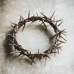 Fototapeta premium Crown of thorns on a plain background with space for text. For Christian Good Friday publications