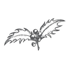 A curved graceful sprig of holly with berries. Graphics illustration. Composition can use in postcard, on wrapping paper or dishes, New Year's textiles and stickers. Also for christmas decoration. 