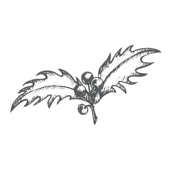 A curved graceful sprig of holly with berries. Graphics illustration. Composition can use in postcard, on wrapping paper or dishes, New Year's textiles and stickers. Also for christmas decoration. 