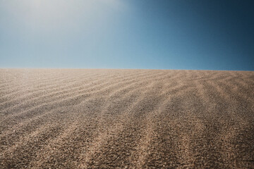 Sunny dune with sand ripples