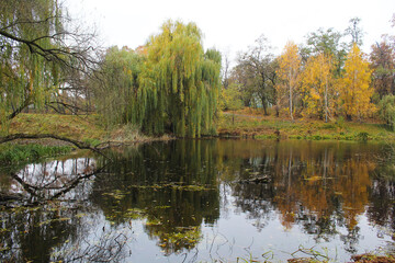 Obraz premium beautiful autumn landscape with lake and autumn colored trees