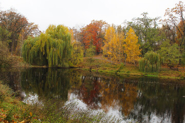 autumn trees reflected in water