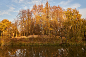 Wild autumn park and sunset, golden hour. Impressive view with river and ducks