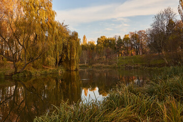 Wild autumn park and sunset, golden hour. Impressive view with river and ducks © Сергій Свиридюк