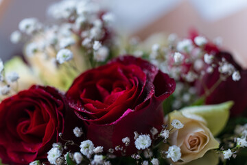 The roses are the main focus of the bouquet, white flowers of elegance and delicacy.A bouquet of red roses with white flowers .