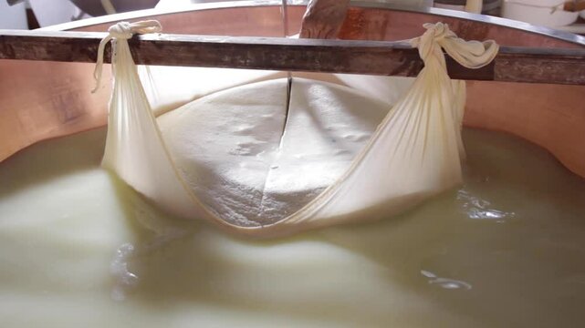 Cutting Curd for Parmigiano Reggiano - Cheesemaking, Dairy, Food, Italy, Factory, Process, Manufacturing, Industry, Agriculture, Traditional