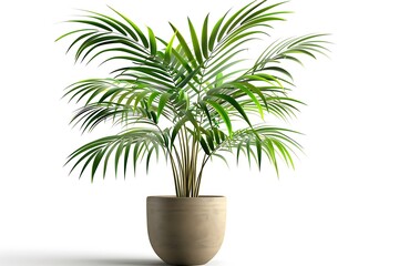 Obraz premium Lush Green Indoor Plant in Modern Pot on White Background, Ideal for Home and Office Décor, Bringing Nature Indoors and Enhancing Aesthetic Spaces