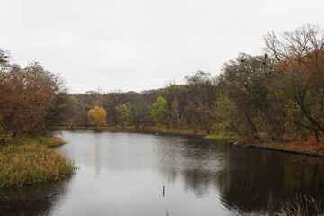 Fototapeta premium autumn trees reflected in water
