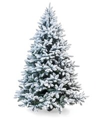 Fototapeta premium Elegant Frosted Christmas Tree Decorated with Blue, Gold, and Silver Ornaments and Pinecones Isolated on White Background 