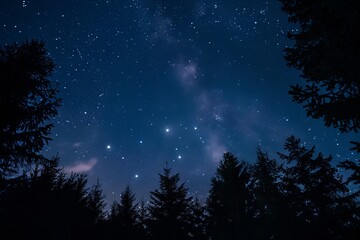 Naklejka premium Captivating view of a starry night sky with the Milky Way above dark forest silhouettes, perfect for nature and astronomy enthusiasts.