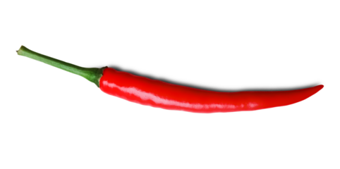 Single Red Chili Pepper