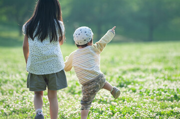 シロツメクサの花畑でたたずむ姉弟の後姿