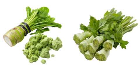 PNG set of wasabi root isolate on transparent and white background