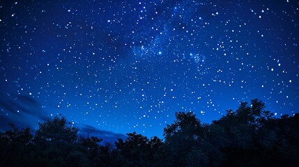 The sky is dark and full of stars. The stars are scattered all over the sky. The sky is blue in color