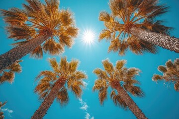 Palm trees against a blue sky. Perfect for summery designs, travel blogs, and vacation themes.