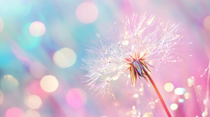 Delicate dandelion seeds dancing in a soft pastel background during a serene spring morning