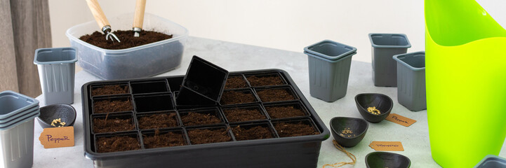 Preparation for spring work in the garden, planting tomato and pepper seeds on seedlings at home, table with plastic containers for seedlings, banner